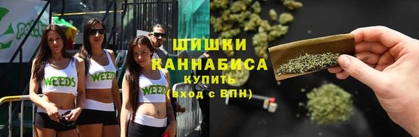 трава Карпинск