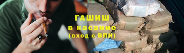 трава Карпинск