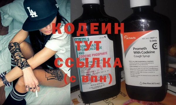 трава Карпинск