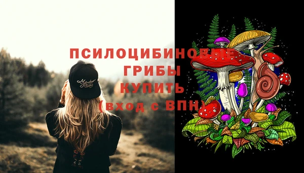 трава Касимов