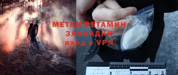 трава Карпинск